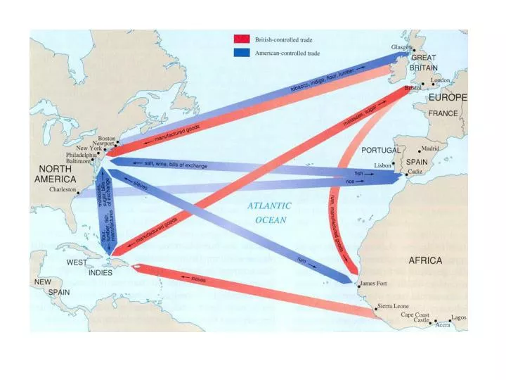 dutch slave trade essay dutch slave trade essay