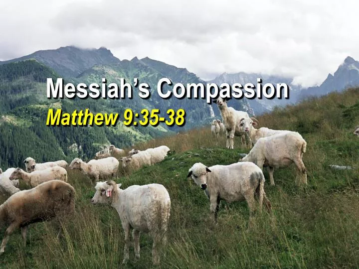 ppt-messiah-s-compassion-matthew-9-35-38-powerpoint-presentation-id