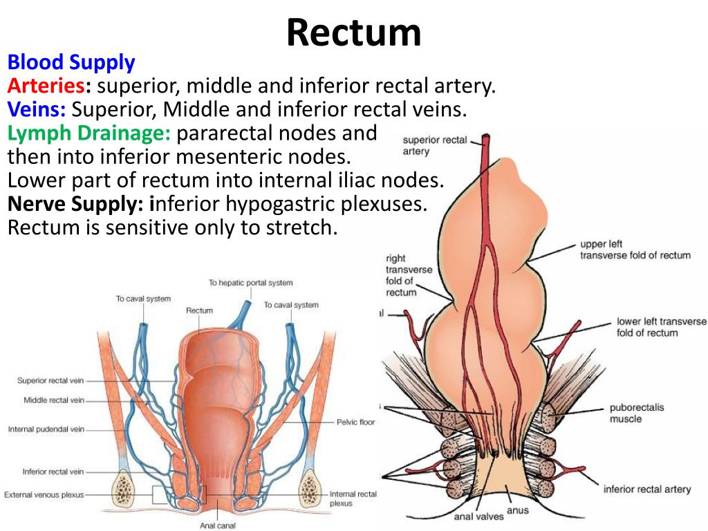 Doctor remove dildo rectum
