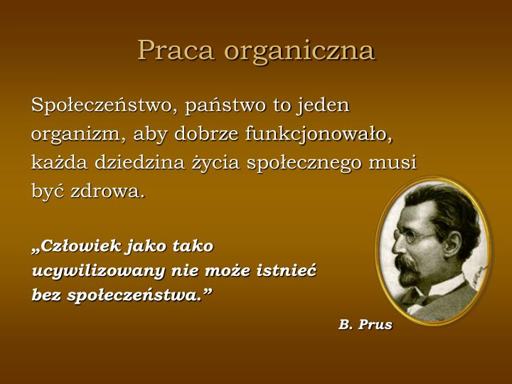 Praca Organiczna W Zaborze Pruskim PPT - POZYTYWIZM PowerPoint Presentation - ID:4835648
