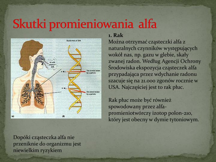 Wpływ Promieniowania Jonizującego Na Organizmy żywe PPT - Promieniowanie jonizujące wpływ na organizmy żywe PowerPoint