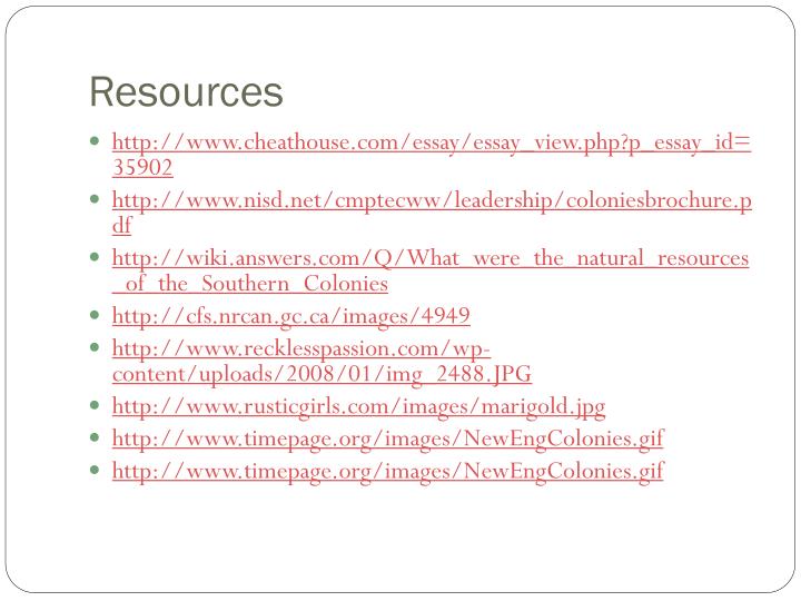 cheathouse com essay cheathouse com essay