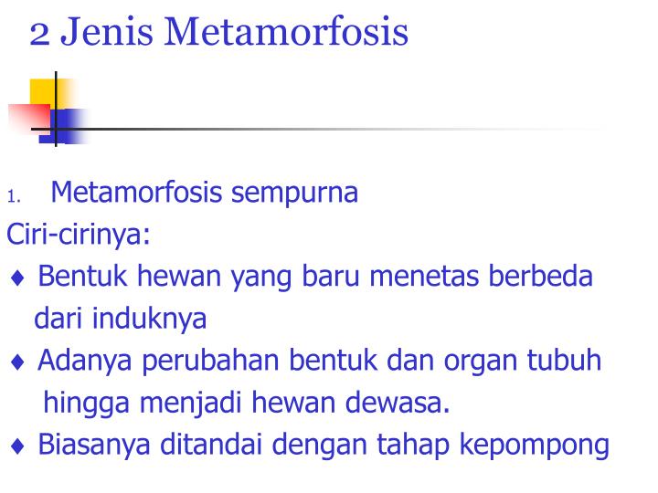 PPT - PERKEMBANGBIAKAN HEWAN PowerPoint Presentation - ID:4920987