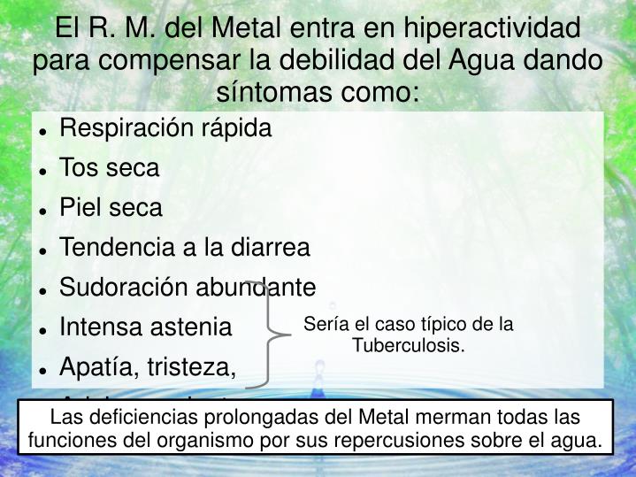 Para adelgazar que entrenamiento es necesaria