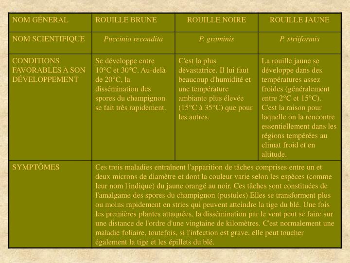 download Kettlebells for women : workouts for your strong, sculpted