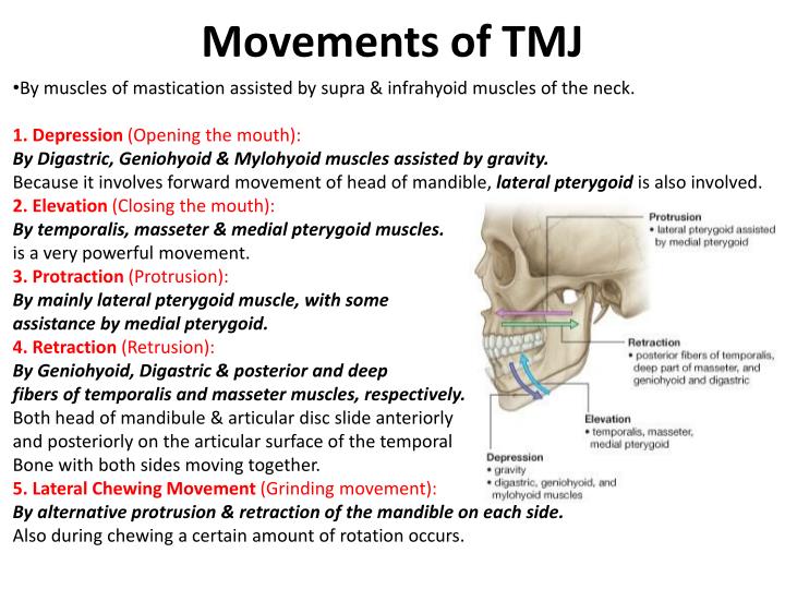PPT The Temporal Region And Temporo Mandibular Joint (TMJ