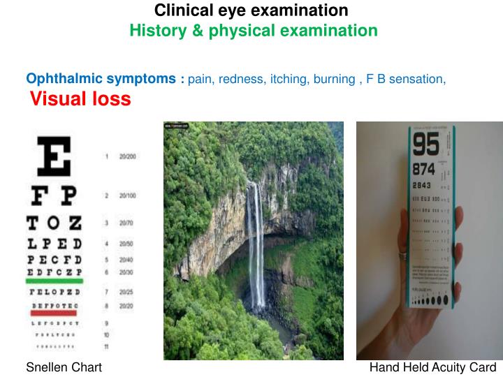 history and physical examination 2 essay Patient history and physical exam clearly, taking the patient history and physical exam is one of the most important functions in any medical office workflow system. history and physical examination 2 essay Patient history and physical exam clearly, taking the patient history and physical exam is one of the most important functions in any medical office workflow system.