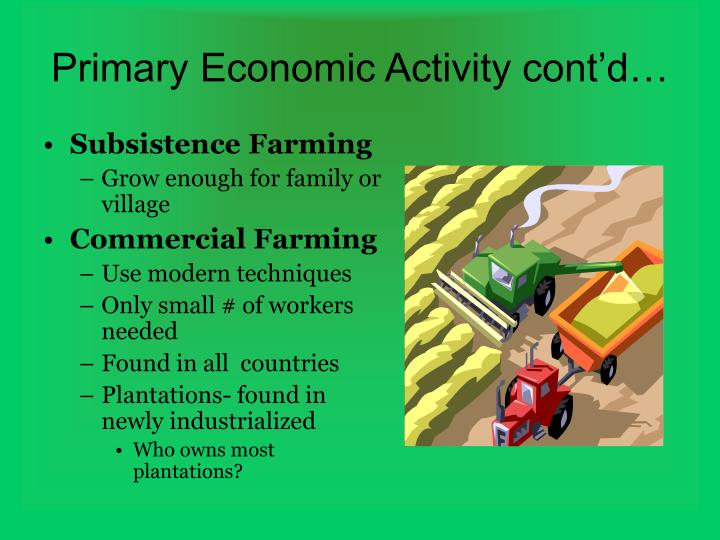 primary economic activity examples primary economic activity examples
