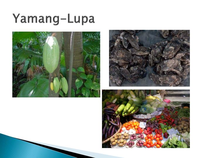 yamang lupa Read story mga yamang likas ng asya by angasya with 26,882 readstimog asya sa timog asya, india lamang ang biniyayaan ng humigit kumulang na 54% ng lupa na m. yamang lupa Read story mga yamang likas ng asya by angasya with 26,882 readstimog asya sa timog asya, india lamang ang biniyayaan ng humigit kumulang na 54% ng lupa na m.