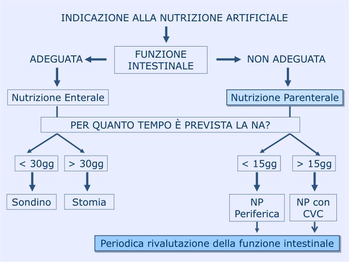 PPT La sindrome da refeeding PowerPoint Presentation ID5091167