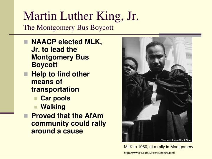 how martin luther king led a successful civil rights movement Martin luther king and the civil rights his photographs documenting the civil rights movement along with an essay by james you felt successful. how martin luther king led a successful civil rights movement Martin luther king and the civil rights his photographs documenting the civil rights movement along with an essay by james you felt successful.