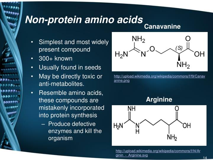 protein scaffold 5 amino acids protein scaffold 5 amino acids