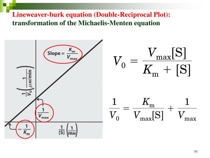 Michaelis-Menten and Lineweaver -Burk Plots | biochemaddict21