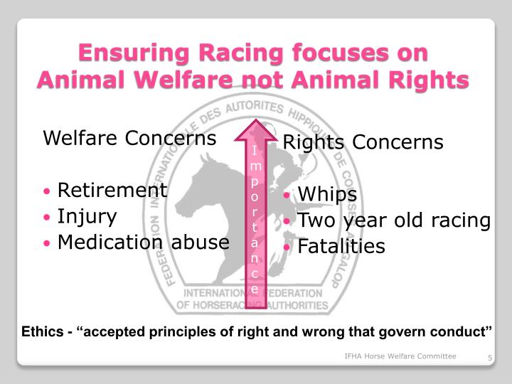 an introduction to the importance of animal rights Animal rights are benefits people give to animals to protect them from human important than animal welfare and we should overrule the interests (rights) of. an introduction to the importance of animal rights Animal rights are benefits people give to animals to protect them from human important than animal welfare and we should overrule the interests (rights) of.