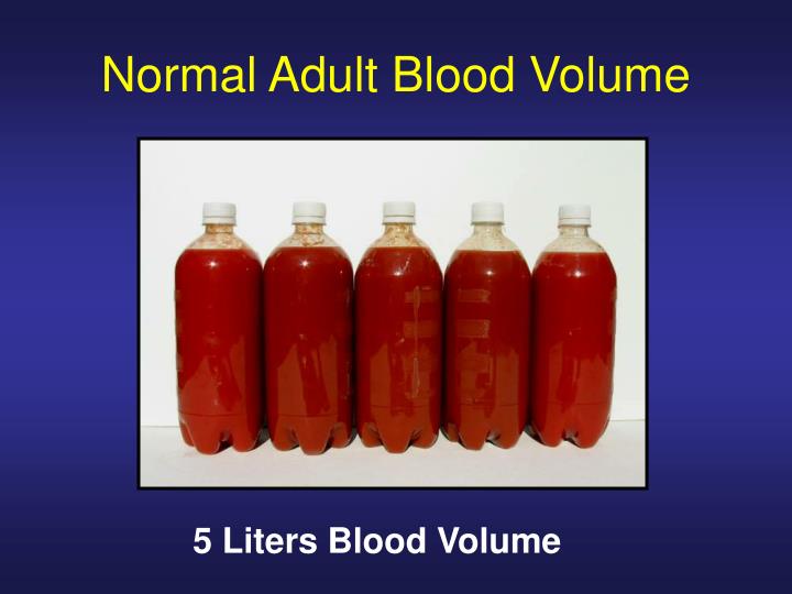 blood volume adult blood volume adult