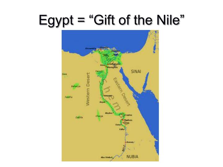 gift of the nile The nile is the longest river in the world the nile river ran down the middle of ancient egypt the nile is shaped like a lotus flower, the design seen in ancient egyptian art, math, and hieroglyphics. gift of the nile The nile is the longest river in the world the nile river ran down the middle of ancient egypt the nile is shaped like a lotus flower, the design seen in ancient egyptian art, math, and hieroglyphics.
