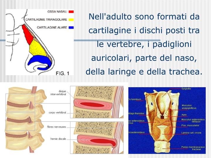 Le medicine quello che passerebbe unacne