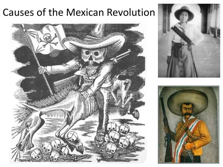 mexican revolution research paper Mexican american war research paperthe united states – mexican war (1846-1848) the united states (us)-mexican war started on april 25, 1846 the first battles between mexican and united states armies were the battles at palo alto and resaca de la palma. mexican revolution research paper Mexican american war research paperthe united states – mexican war (1846-1848) the united states (us)-mexican war started on april 25, 1846 the first battles between mexican and united states armies were the battles at palo alto and resaca de la palma.