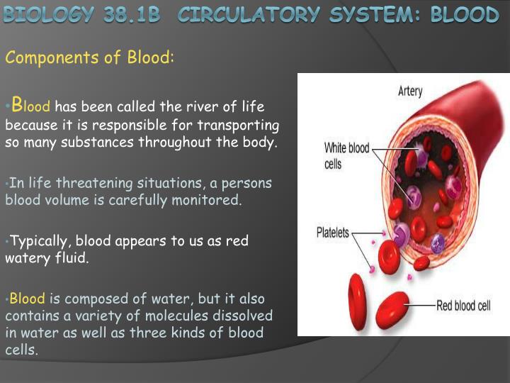 PPT Biology 38 1B Circulatory System: Blood PowerPoint Presentation