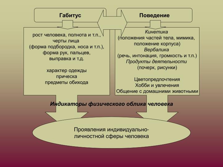 О чем говорит прическа человека