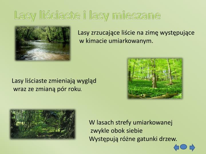 W Jakiej Strefie Krajobrazowej Leży Polska PPT - „ STREFY KRAJOBRAZOWE” PowerPoint Presentation - ID:5290813