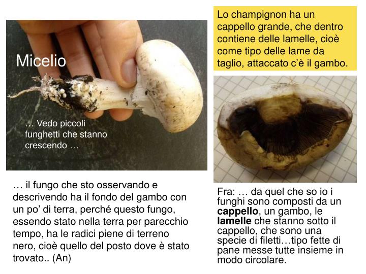 Trattare un iodio di fungo di unghia