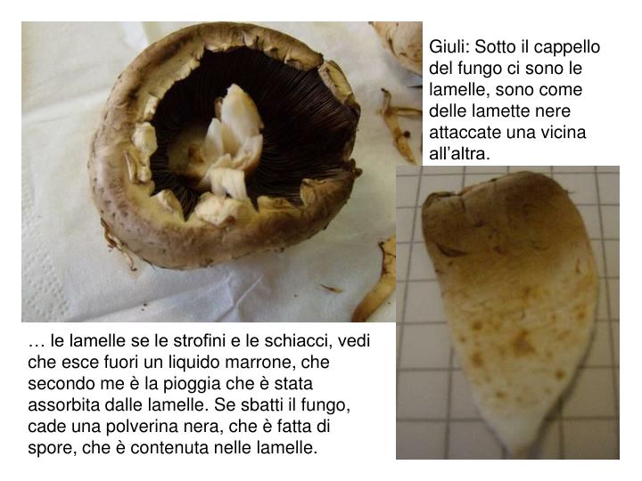 La posizione di fungo come rapidamente liberarsi da esso