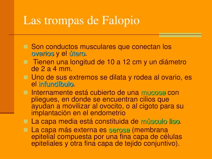 Como llevar a la muchacha hasta el orgasmo si el miembro pequeño