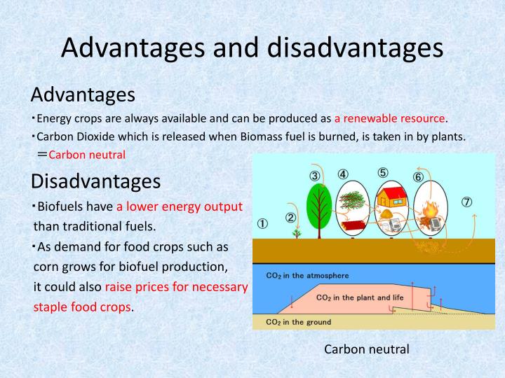 Ppt Energy Crop Powerpoint Presentation Id 5324727