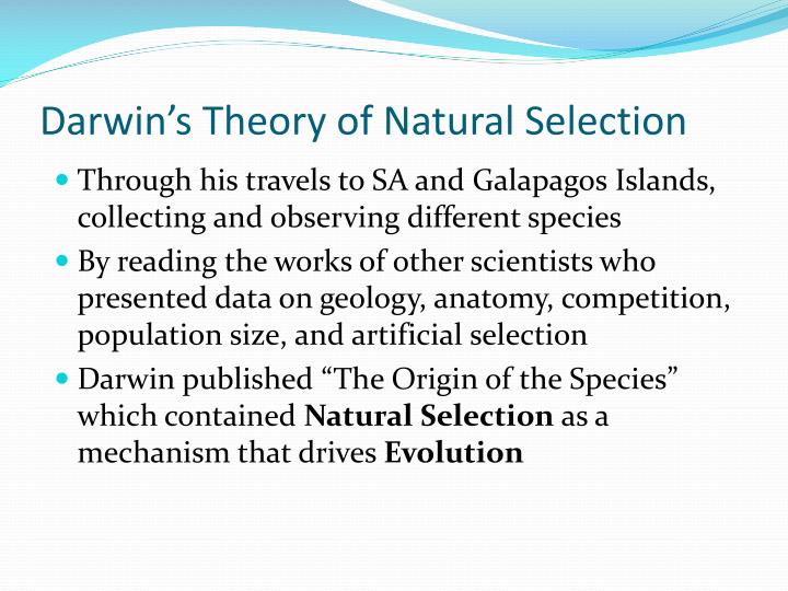 Darwin S Theory Of Natural Selection On Variation Darwin S Theory Of Natural Selection On Variation