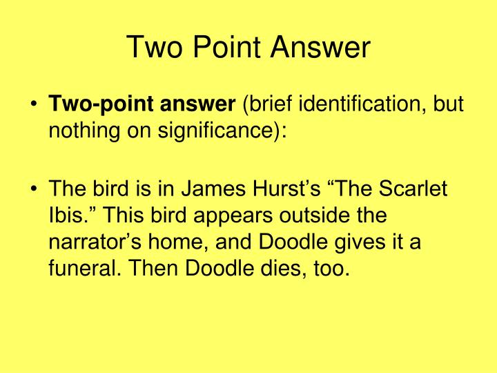 answering essay questions answering essay questions