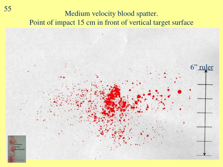PPT - Blood Spatter & Crime Scenes PowerPoint Presentation - ID:5371326