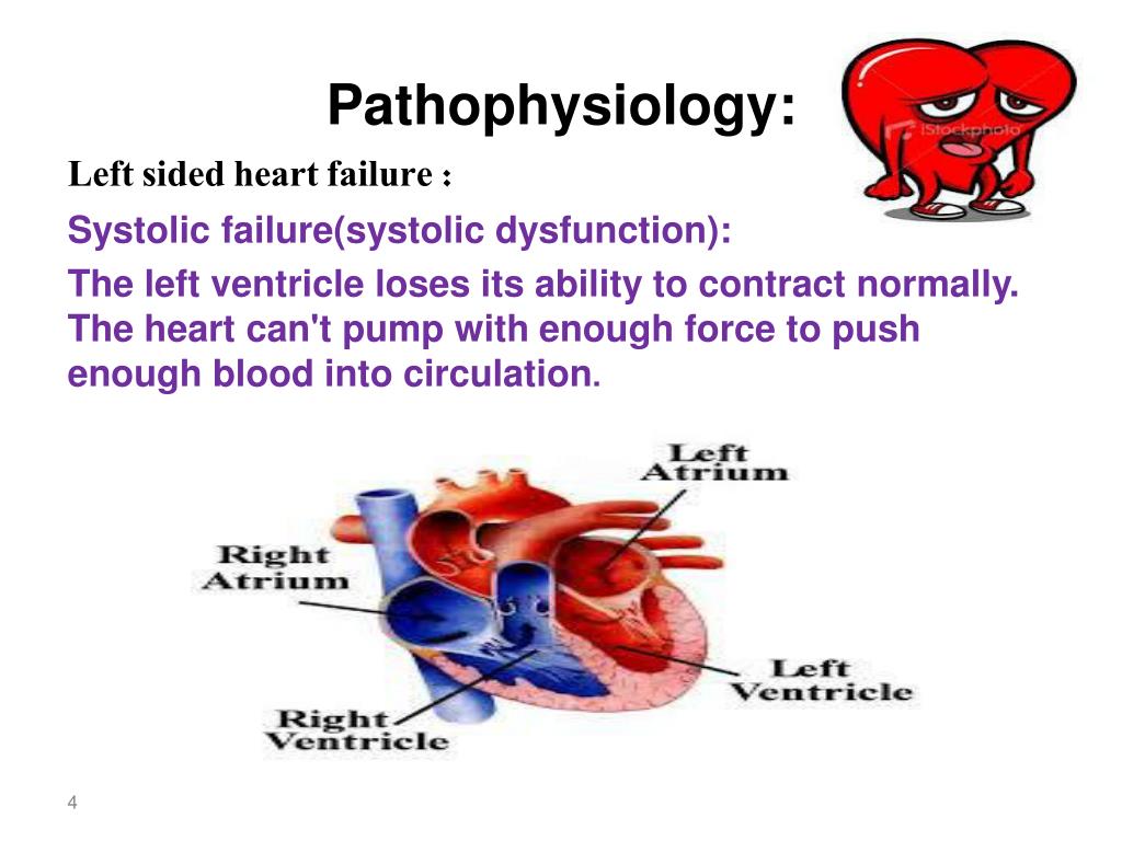 Treatment Of Systolic Heart Failure