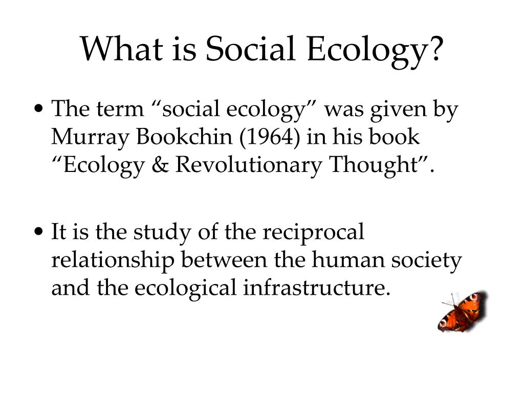 social ecology essay