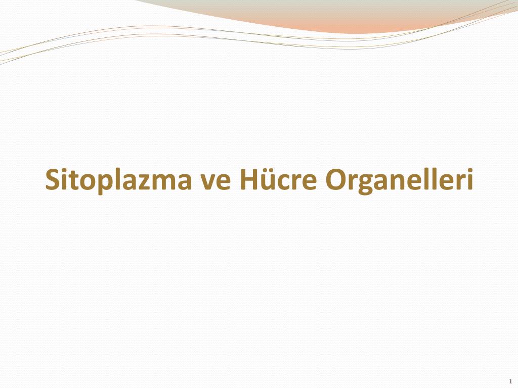Organeller ... Fonksiyonlar, organellerin yapısı Organeller ... Fonksiyonlar, organellerin yapısı