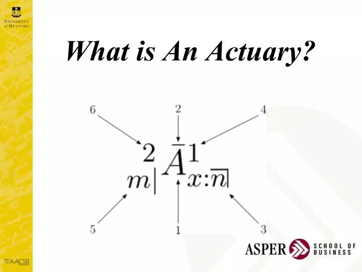 what is actuary