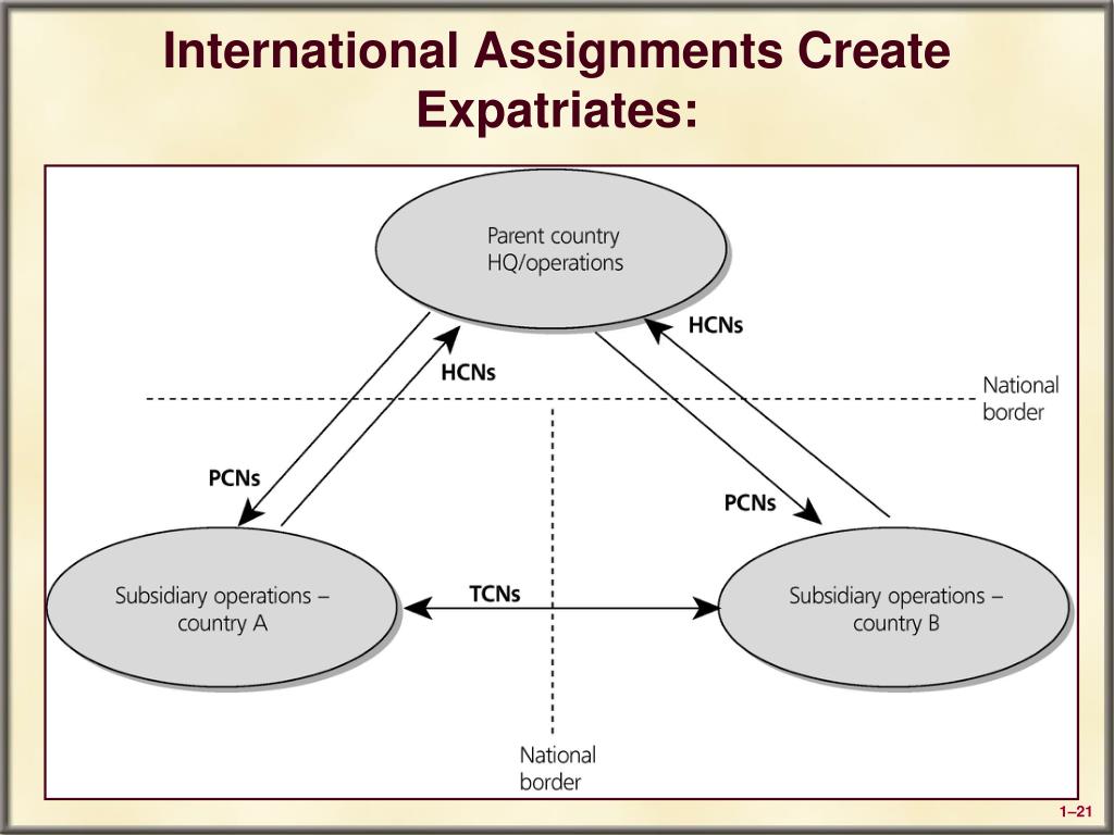 international expatriate assignment
