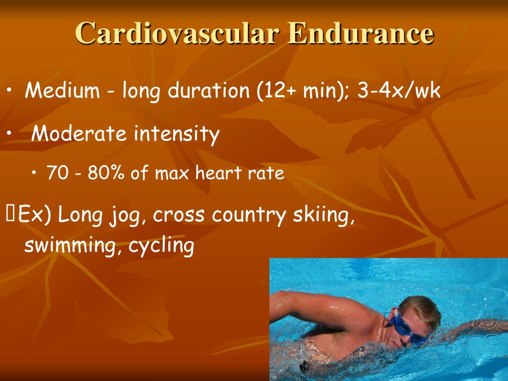 cardiovascular endurance in a sentence