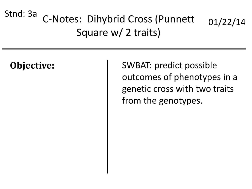 Ppt C Notes Dihybrid Cross Punnett Square W 2 Traits Powerpoint Presentation Id 3615486