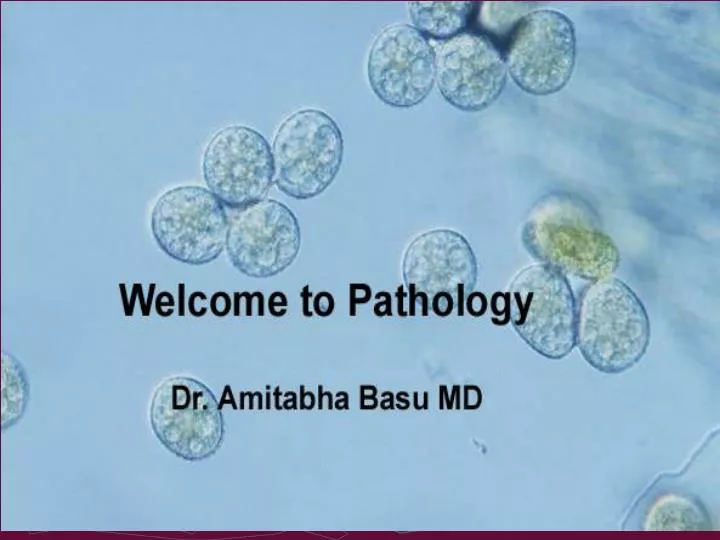 introduction to pathology n.