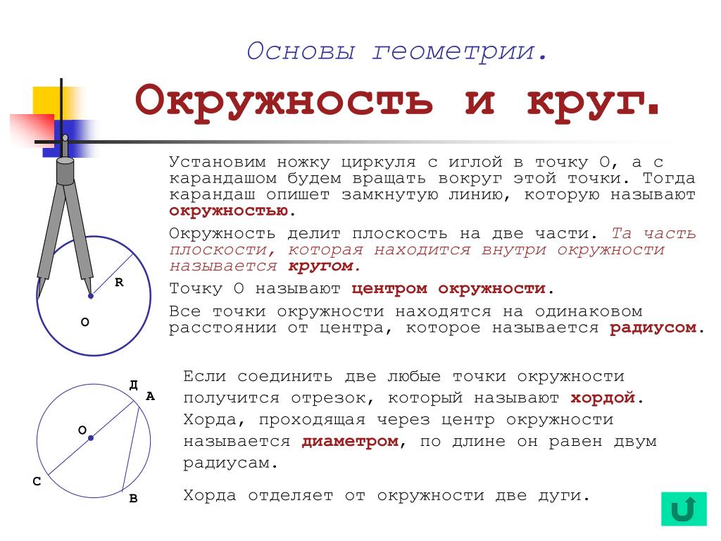 Круг математика 5 класс. 3 Класс циркуль окружность круг диаметр. Окружность центр радиус хорда диаметр окружности. Что такое центр радиус хорда и диаметр окружности. Круг окружность центр радиус диаметр.