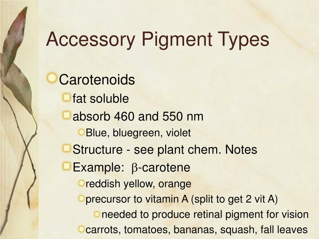 PPT The Dual Nature of Light PowerPoint Presentation, free download