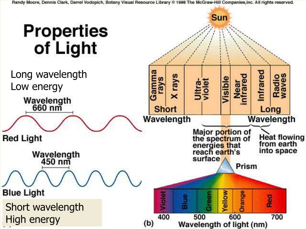 hypothesis of dual nature of light