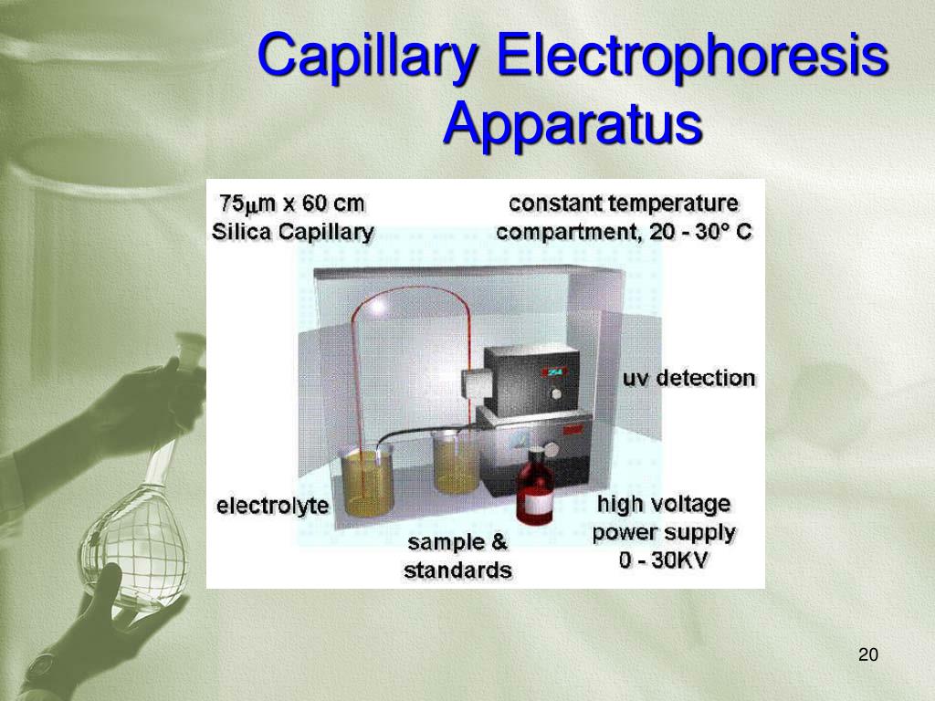 PPT PRINCIPLE AND INSTRUMENTATION OF CAPILLARY ELECTROPHORESIS