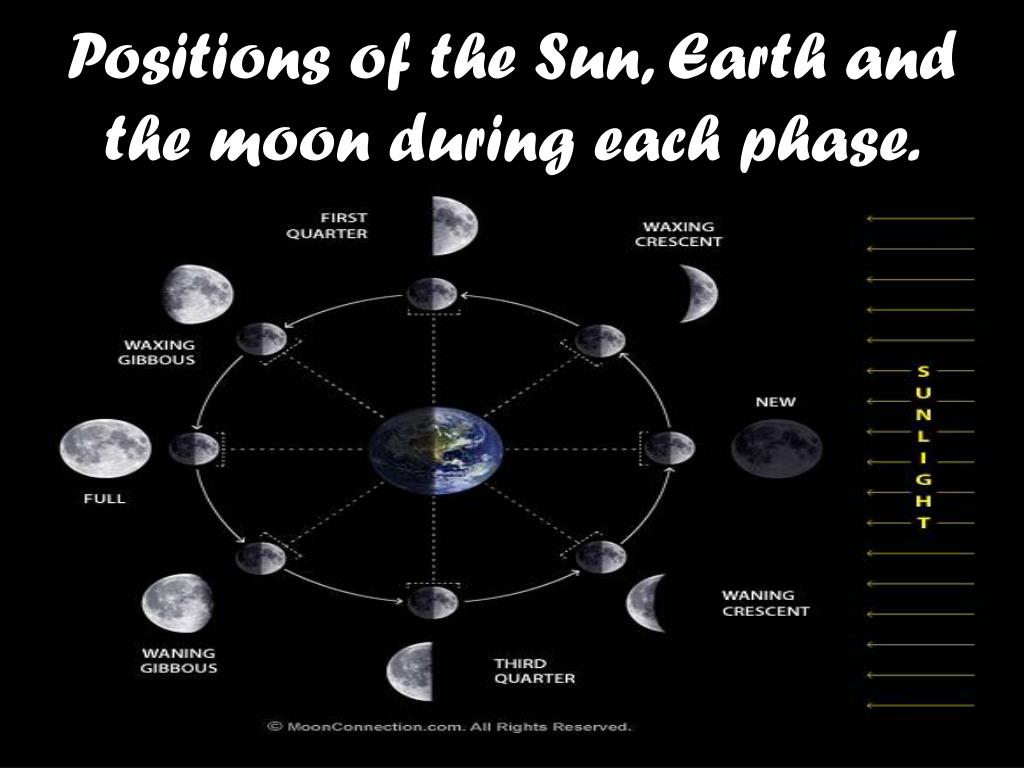 PPT - What Causes Day and Night? PowerPoint Presentation, free download ...