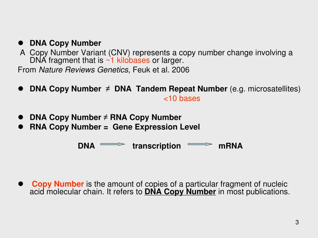 PPT - DNA Copy Number Analysis PowerPoint Presentation, free download -  ID:3630979