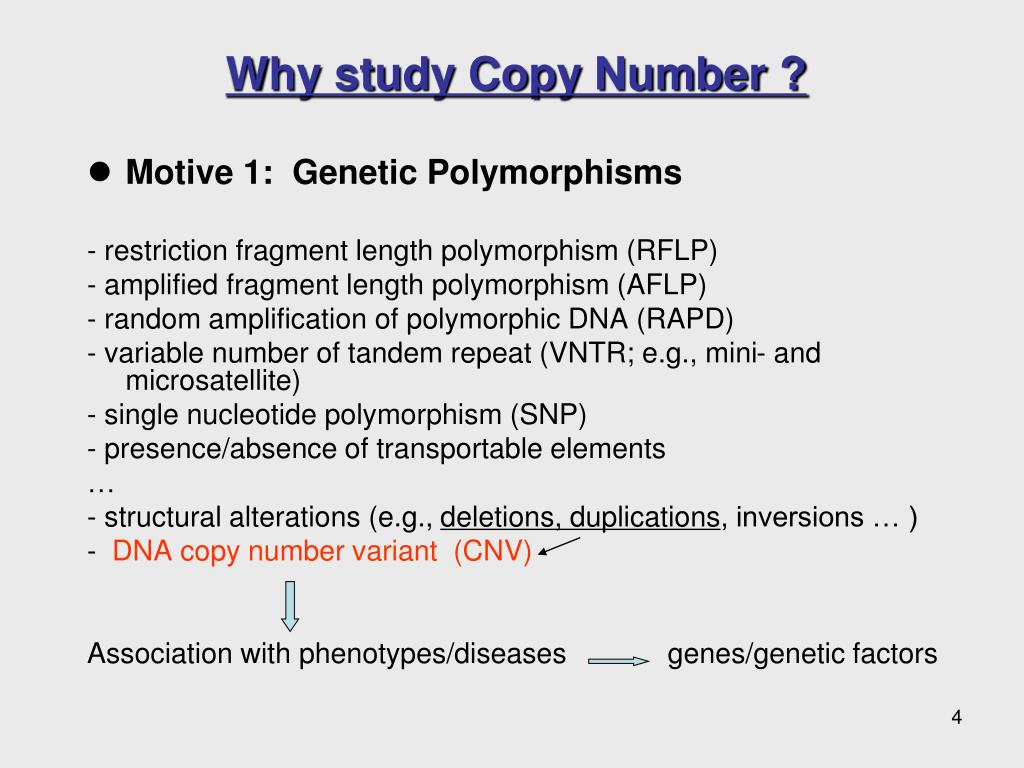 PPT - DNA Copy Number Analysis PowerPoint Presentation, Free Download ...