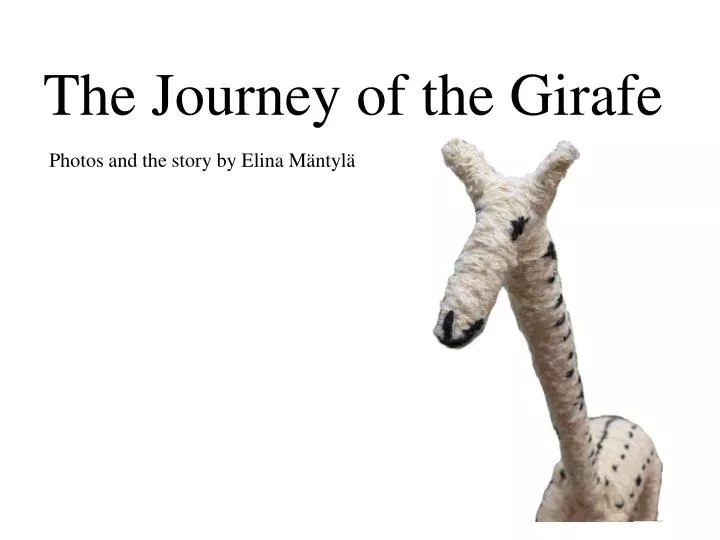 the journey of the girafe n.