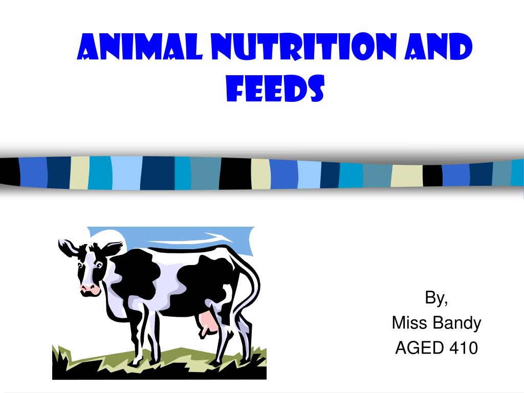 PPT - Animal Nutrition and Feeds PowerPoint Presentation, free download -  ID:3633343
