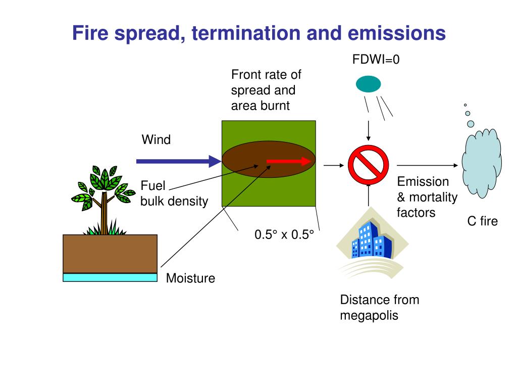 Fire spread. Terminative and non-terminative verbs. The Law of natural propagation of Fire. The Law of natural propagation of Fire Gun. Global processes